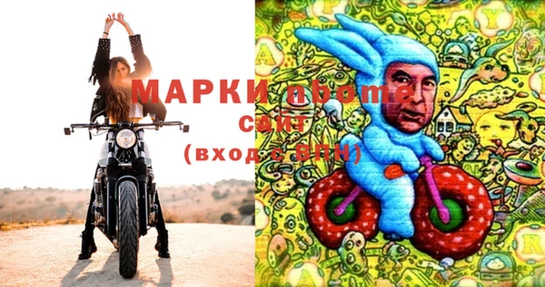 ECSTASY Алзамай