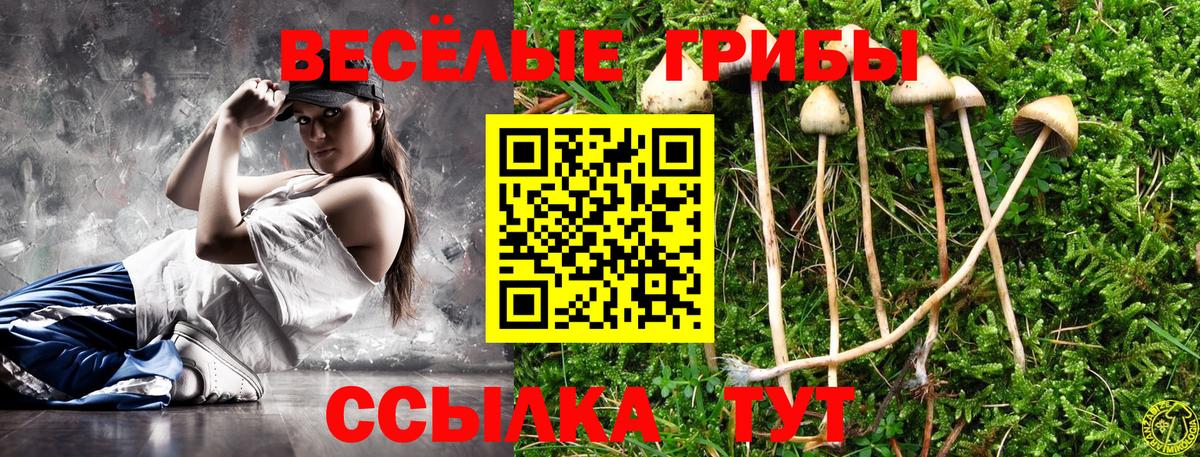 Галлюциногенные грибы MAGIC MUSHROOMS  Псилоцибиновые грибы Psilocybe  наркотики  Скопин  Вход с VPN 