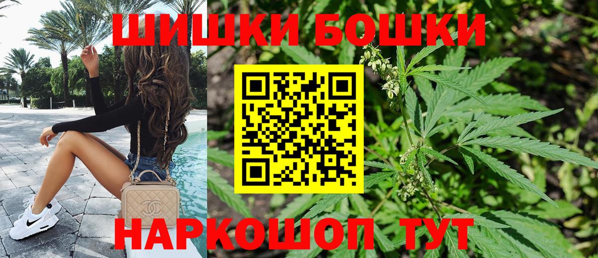 ГАШ Скопин